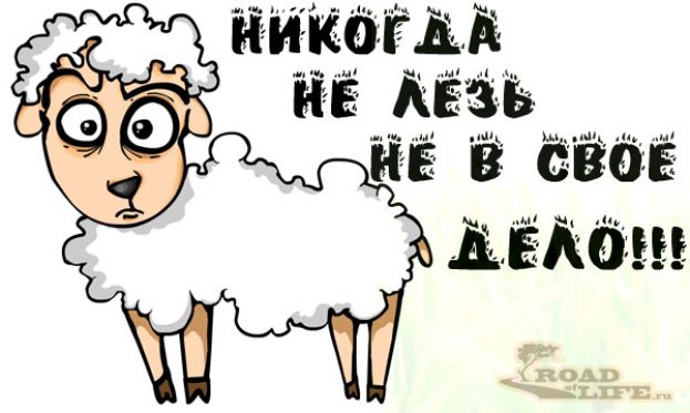 Истории с моралью