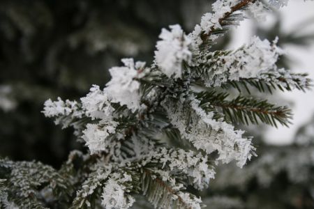 Снегопад продлится три дня