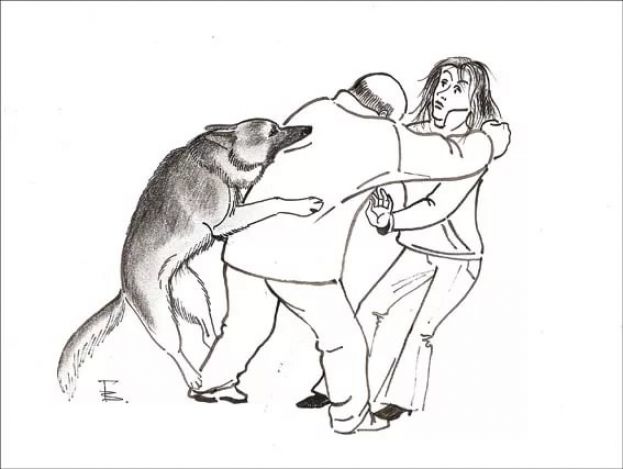 Цезарь