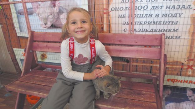 &laquo;Федерация кошек&raquo; в Ржеве