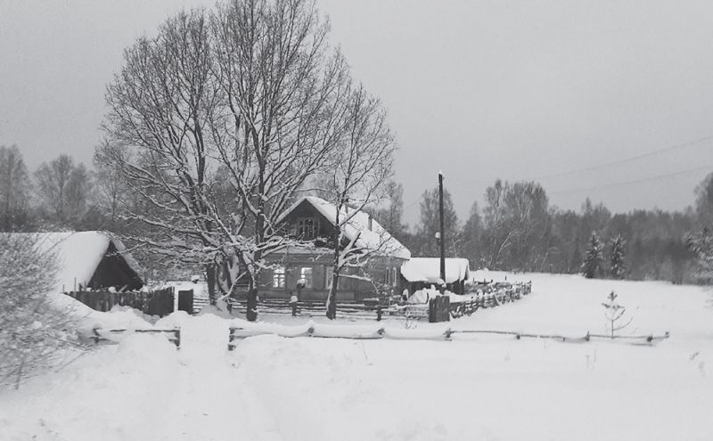 Как москвичи возродили ржевскую деревню