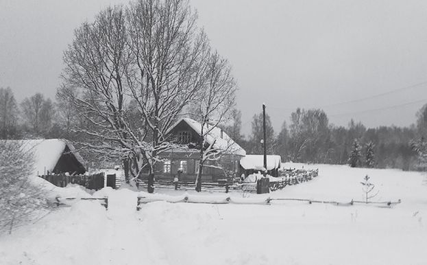 Как москвичи возродили ржевскую деревню