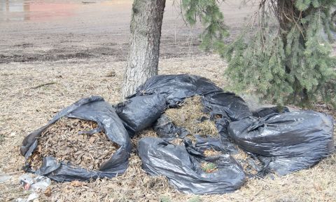 Понемногу обо всем