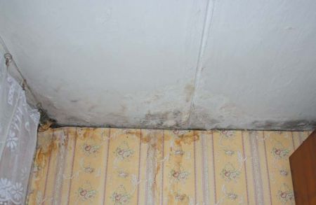 Митьковские страдания