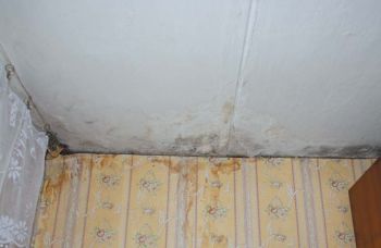 Митьковские страдания
