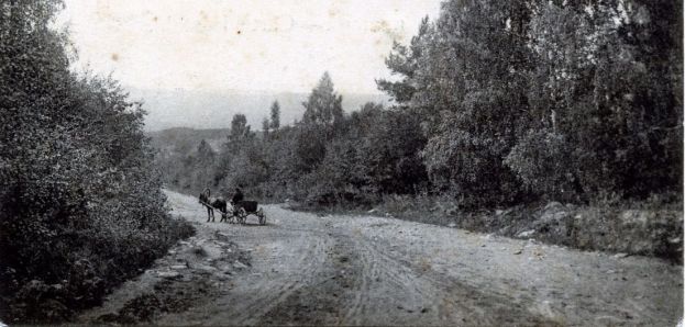 Из протоколов уездного земского собрания, 1896 год