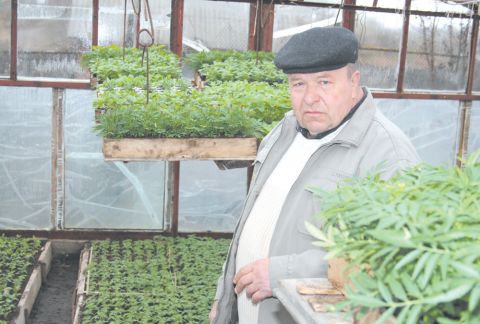 Лисичкина знает всякий