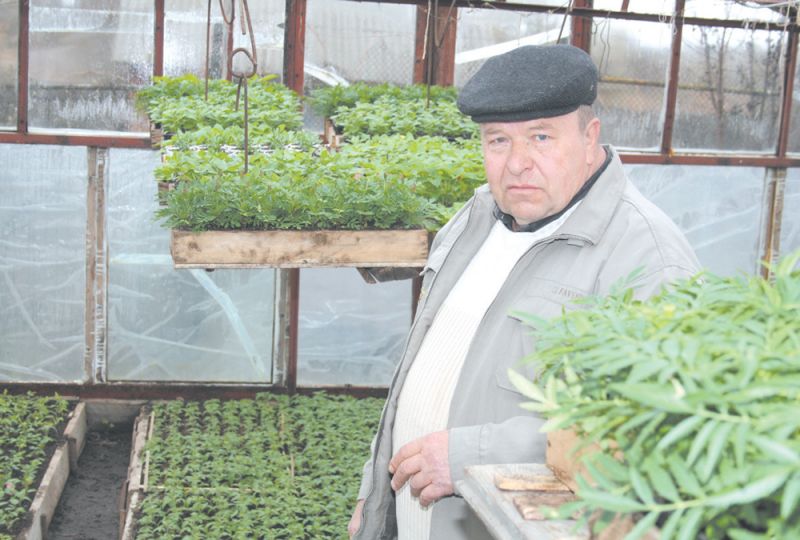 Лисичкина знает всякий