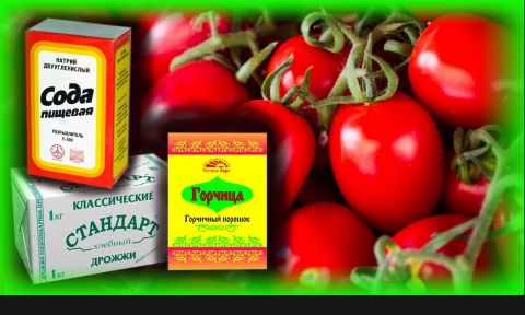 Секреты, о которых вы, может быть, не знали