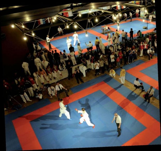 Е. Становой о чемпионате мира по каратэ и депутатстве