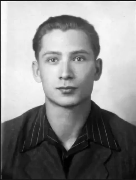 «Горький мед» В. Павлинова