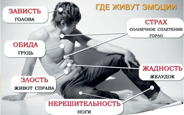 Где живут эмоции?