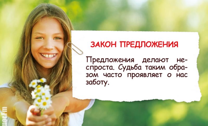 Законы Грейс