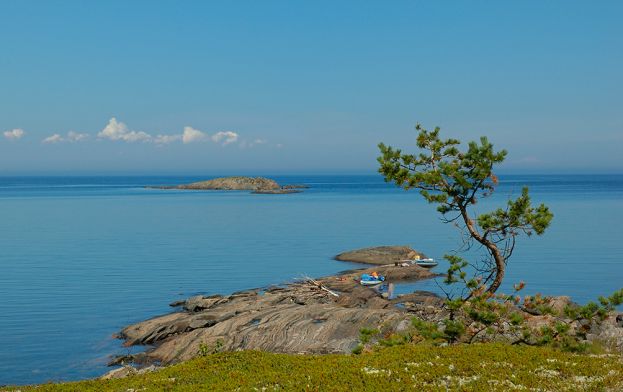 На берегу Японского моря