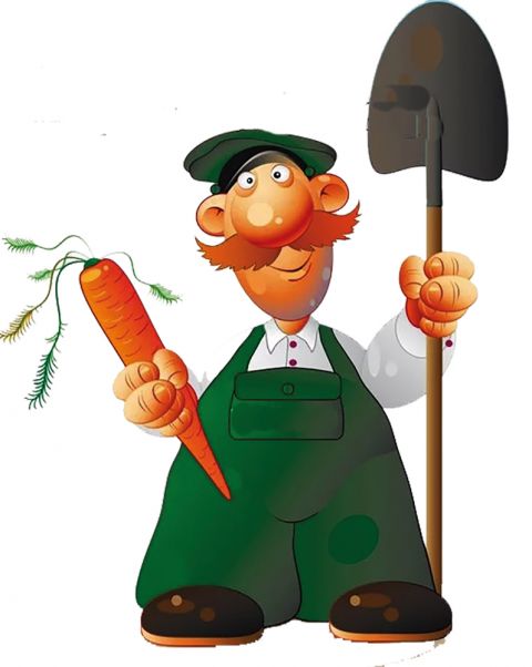 Ответы садовника Андрея Беляева