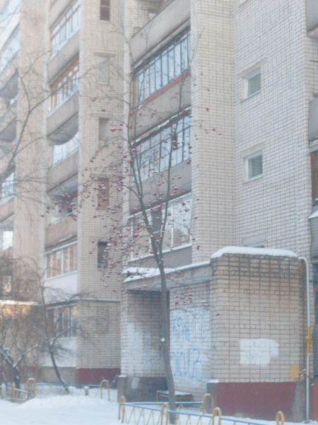 Когда парят подвалы