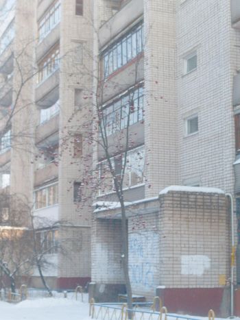 Когда парят подвалы