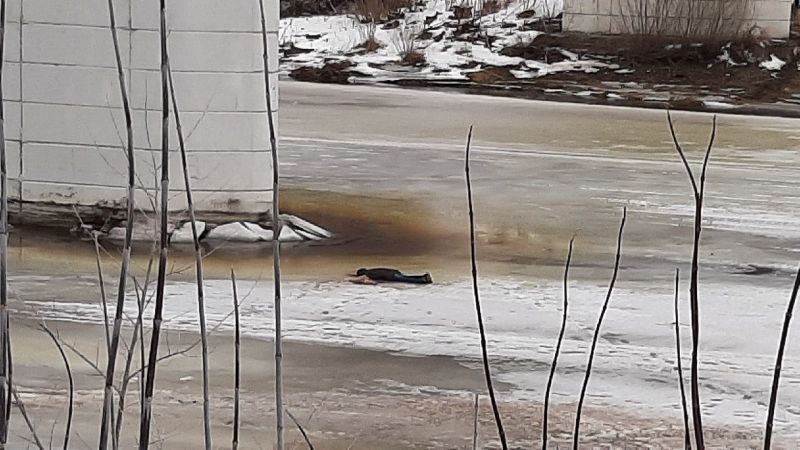За полчаса до весны