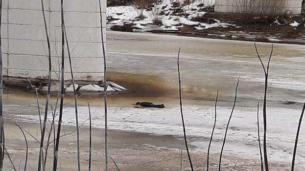 За полчаса до весны