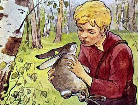 Зайцы, оказывается, терпеть не могут капусту и морковь