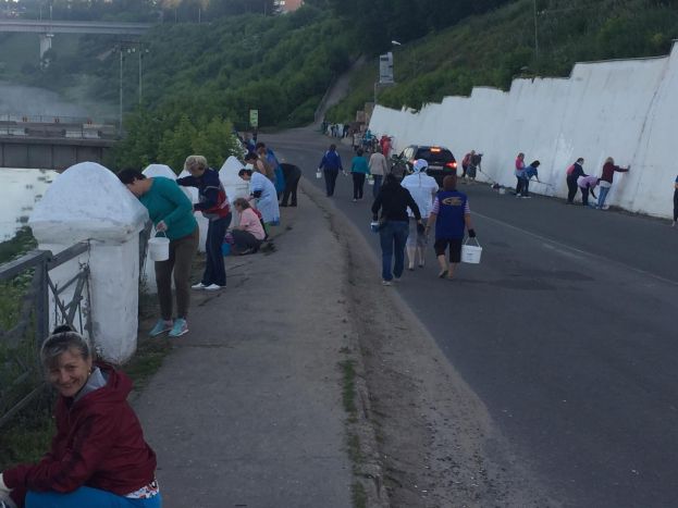 Добровольно принудительный абсурд