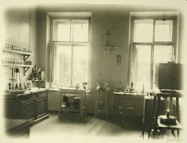 Из протоколов заседаний ржевского земства, 1880 г.