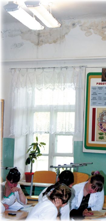 Медучилище поражено плесенью. Заниматься тут нельзя