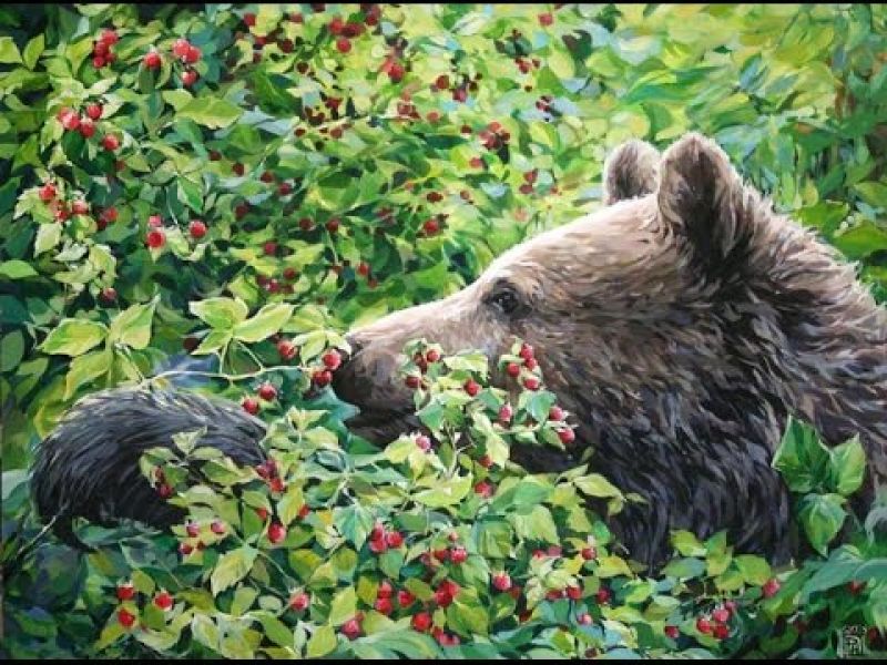 Медведь в малиннике