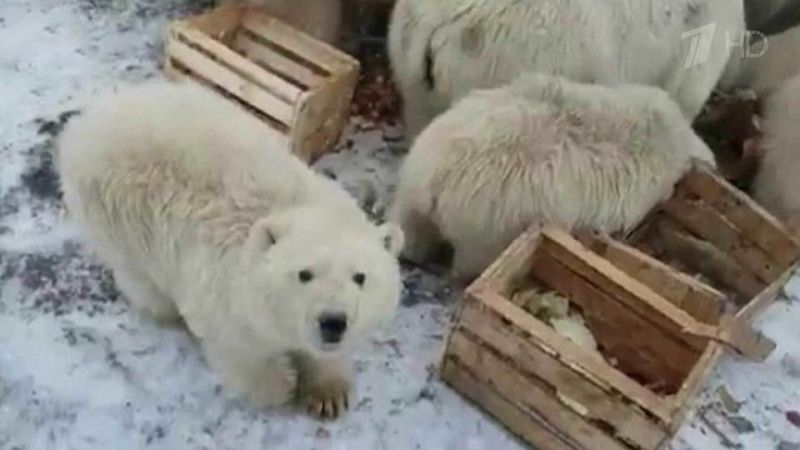 Калейдоскоп событий: февраль