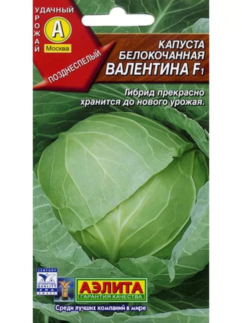 Все о выращивании капусты