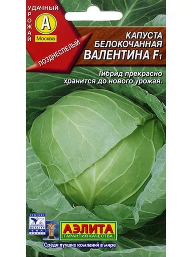 Все о выращивании капусты