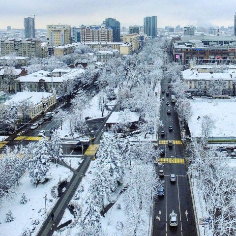 переезд в Краснодар