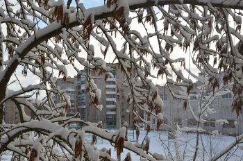 О погоде, и не только