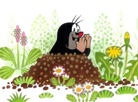 Можно ли навсегда прогнать кротов с садового участка?