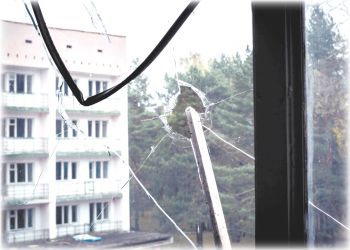 Верхний бор — жертва тупости и равнодушия властей