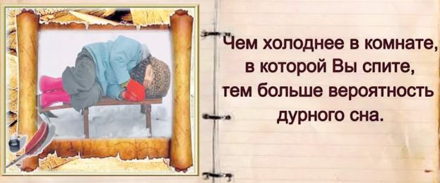 Удивительные и шокирующие факты