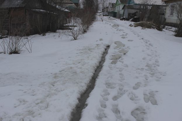 У речки Лочи новый приток