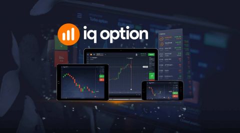 IQ Option: международная компания с мировым именем