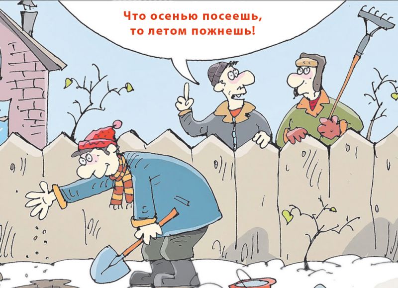 Октябрь — «месячник сада»