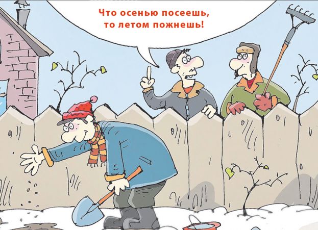 Октябрь — «месячник сада»