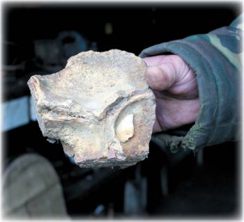 Симсон был бы доволен