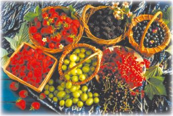 Как уберечься от инсульта?