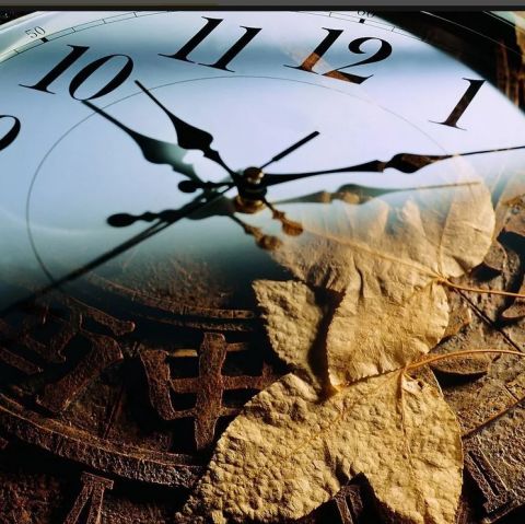 Философия жизни