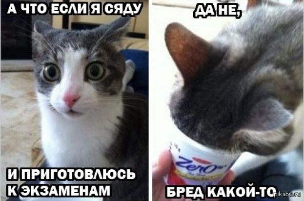 Как я чуть не опоздала на экзамен