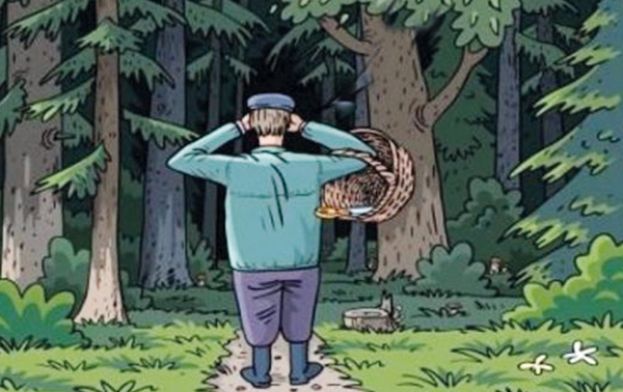 За белыми грибами