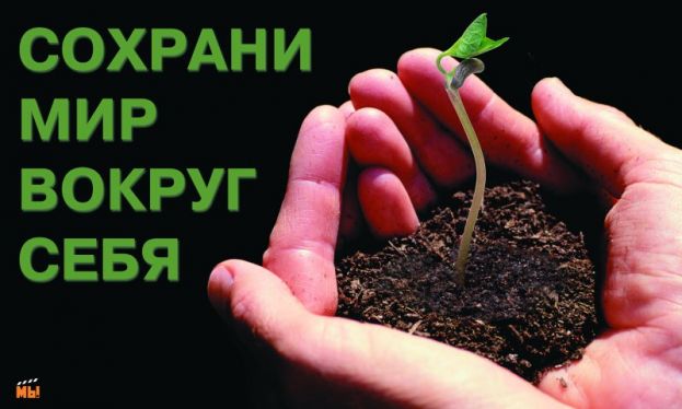 Экология: не ужасно, но до этого недалеко