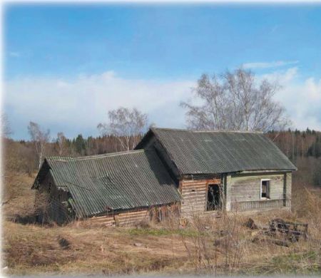 Про дороги, окорочка и вымирание