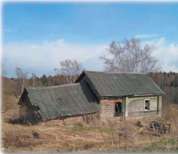 Про дороги, окорочка и вымирание