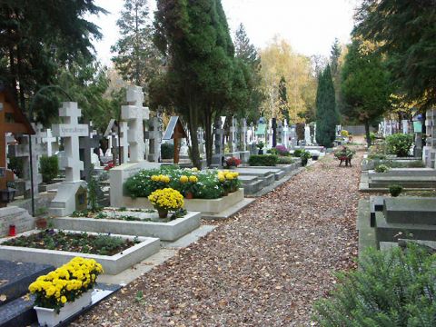 Кладбищенские параллели